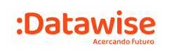 Logo de DATAWISE